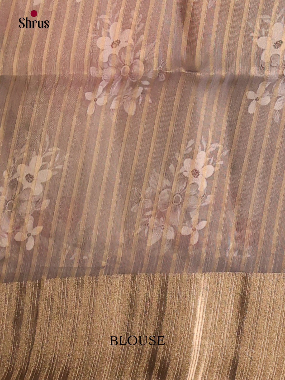 Grey - Semi Organza Saree