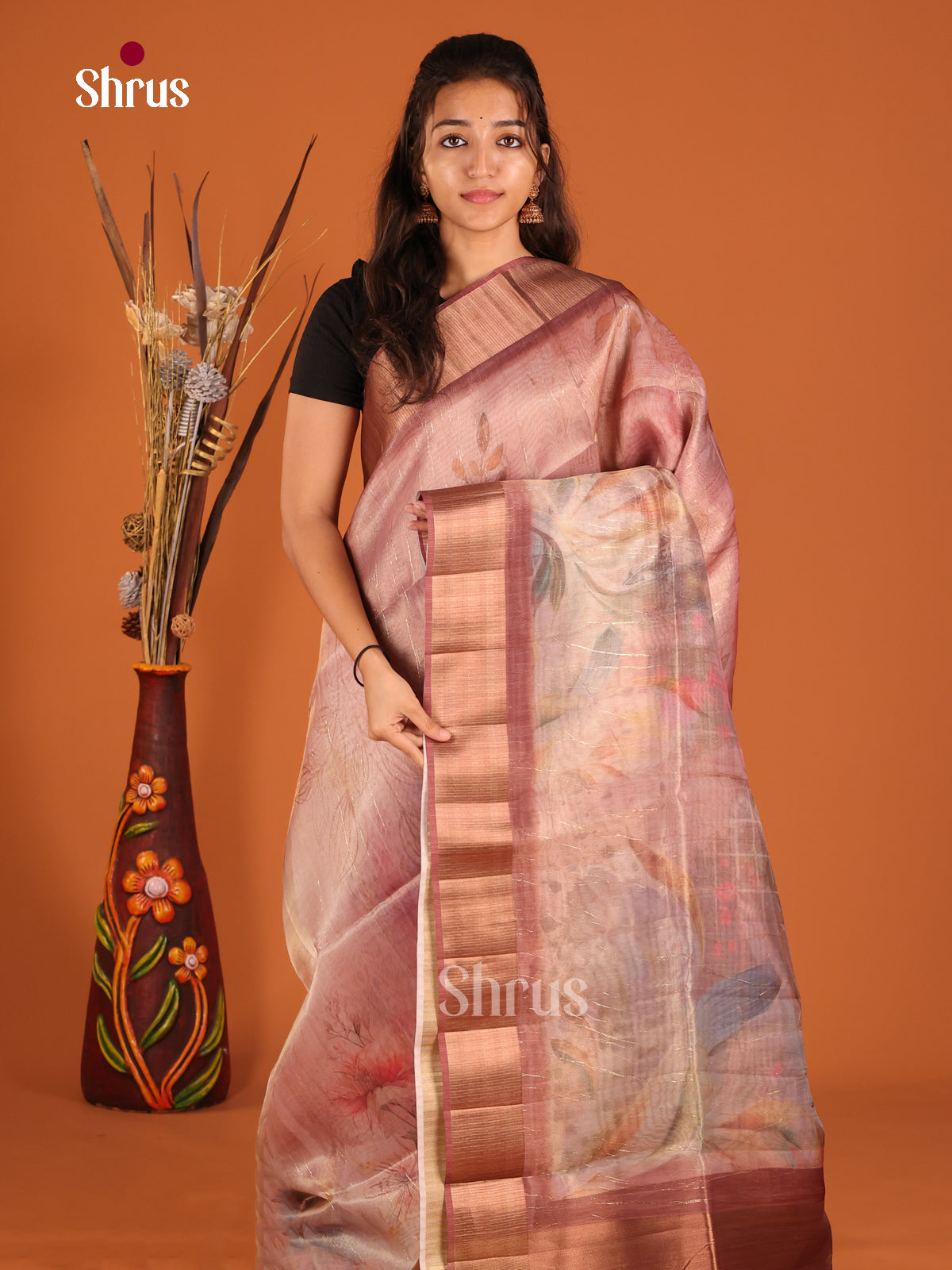 Dusty Brown - Semi Organza Saree - Shop on Shrus.com