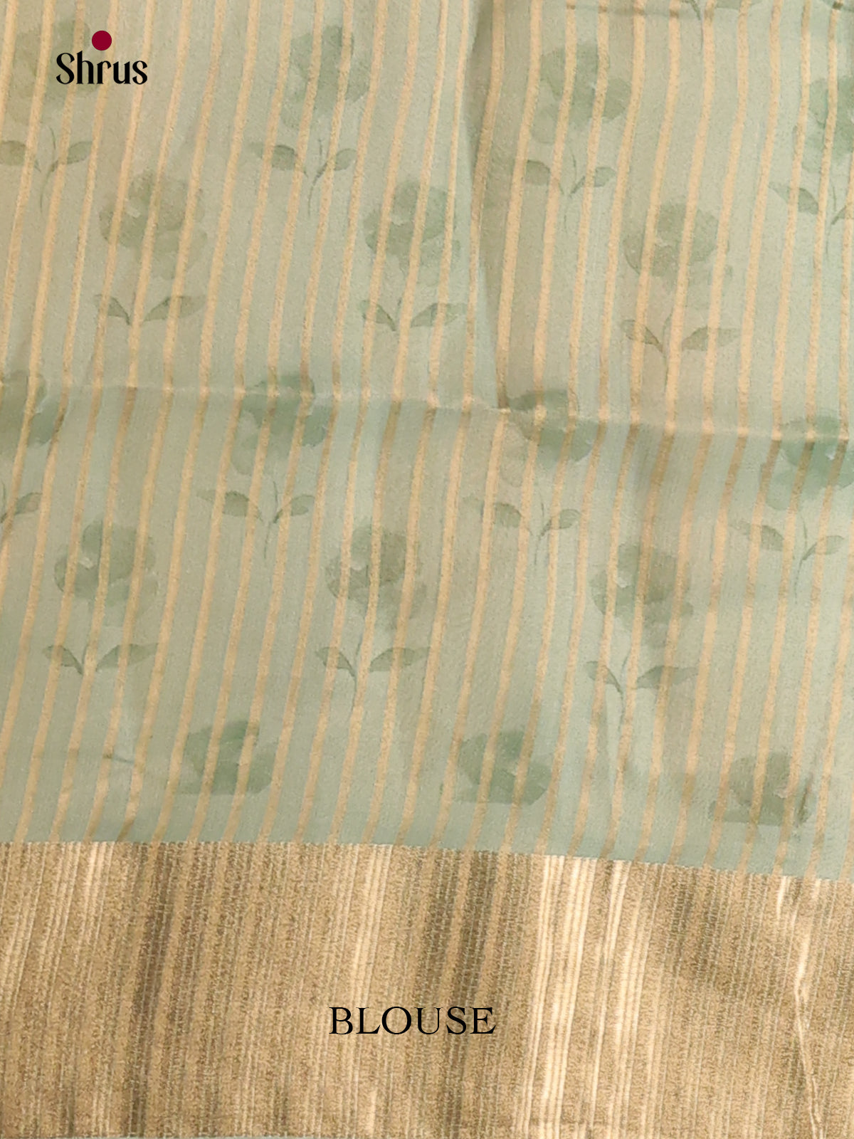 Pastel Green - Semi Organza Saree - Shop on Shrus.com
