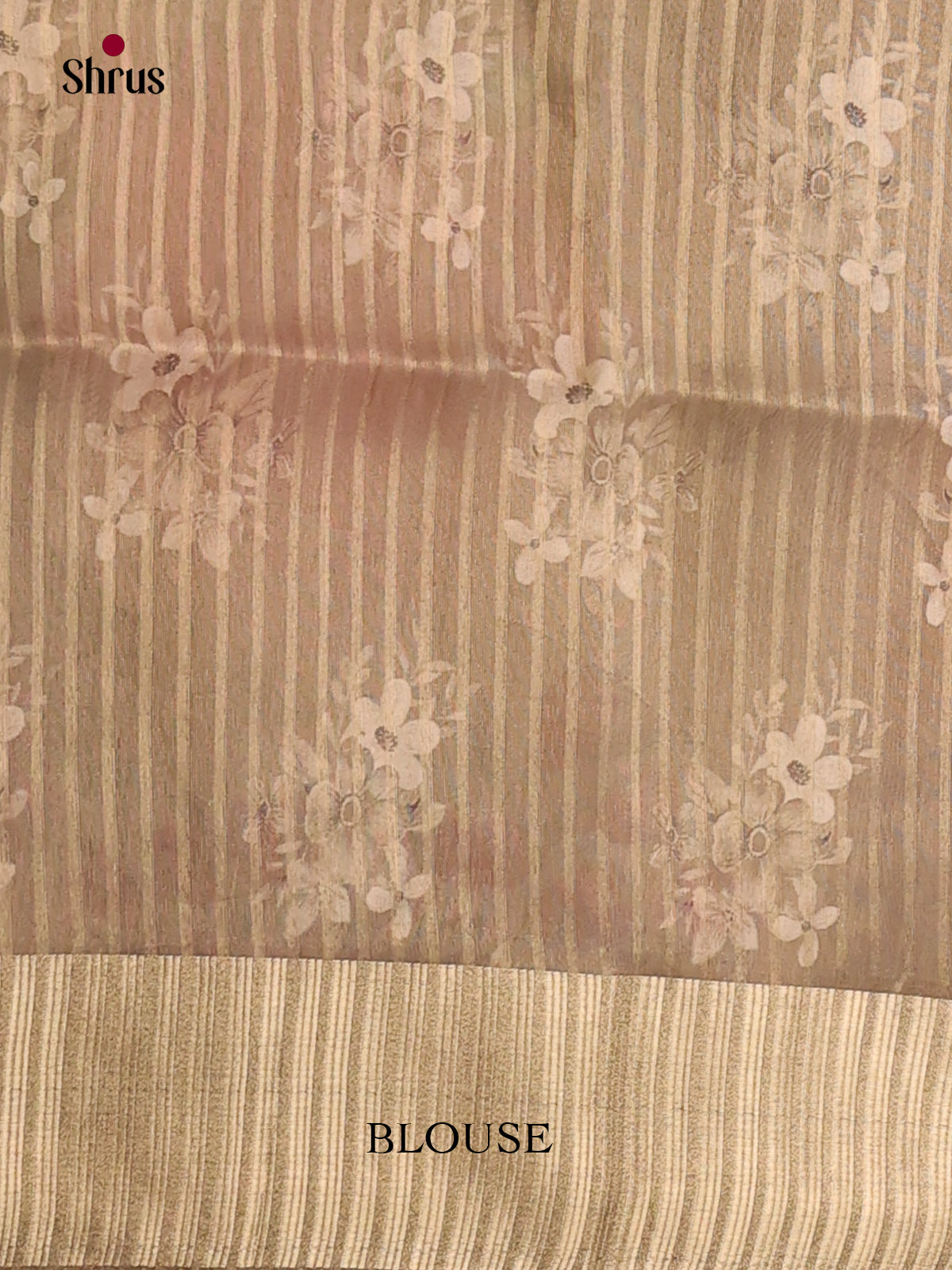 Grey - Semi Organza Saree