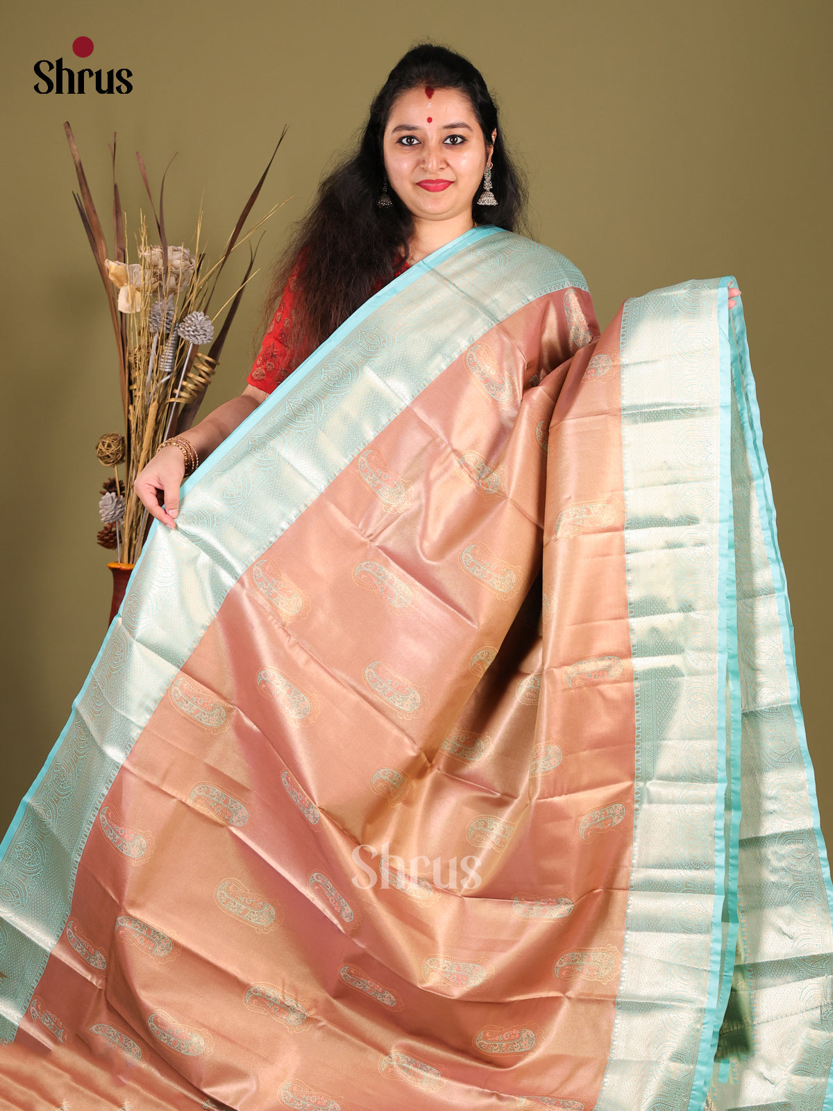 Brown & Blue - Kanchipuram-halfpure Saree