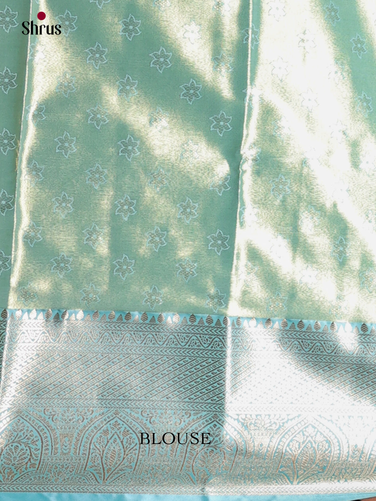 Brown & Blue - Kanchipuram-halfpure Saree