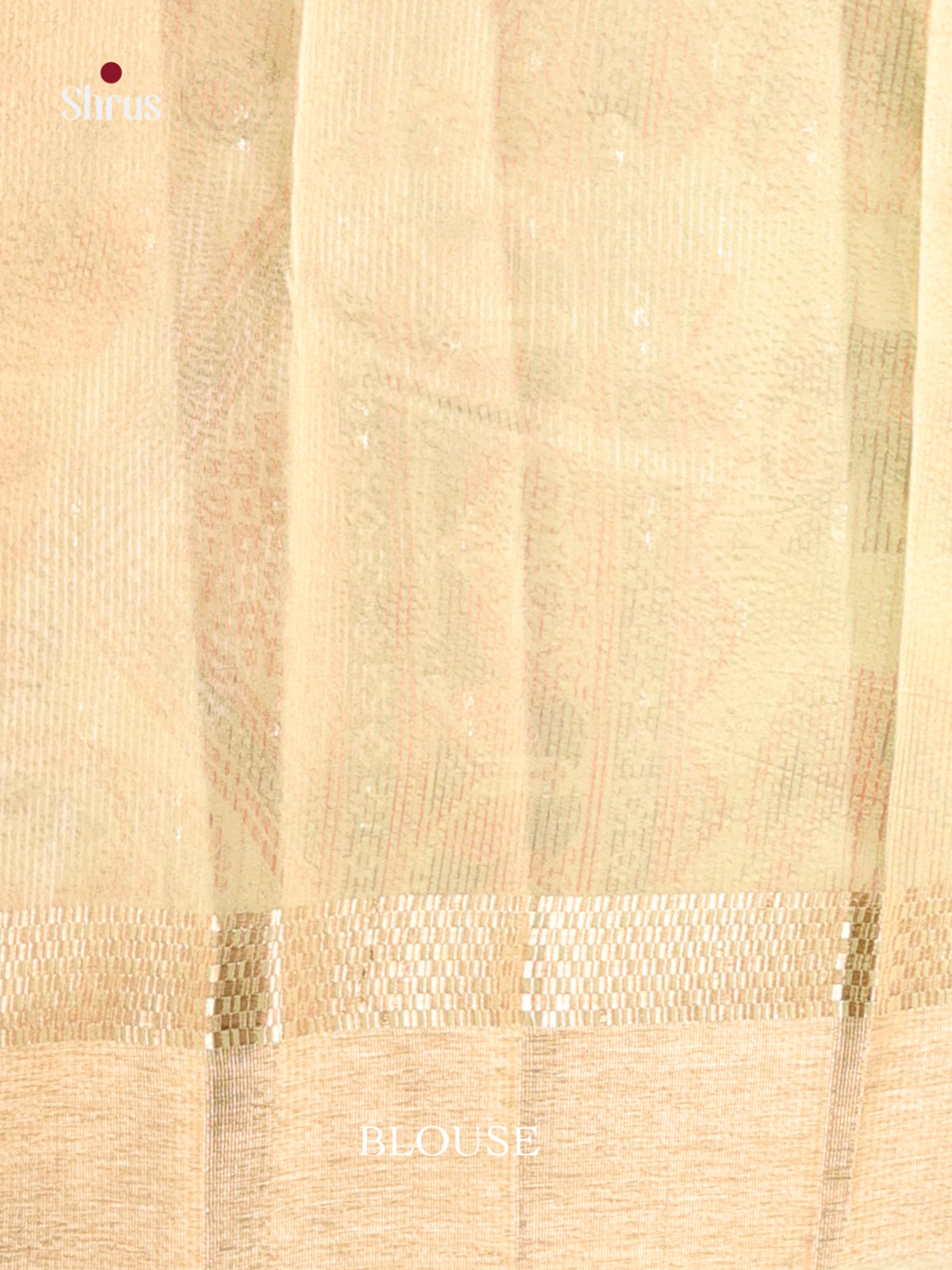 Pastel Green - Semi Tissue Saree