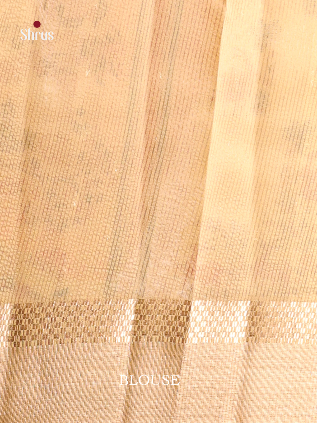 Cream - Semi Tissue Saree