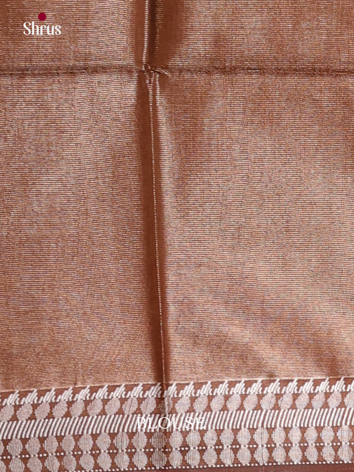 Brown - Semi Tissue Saree