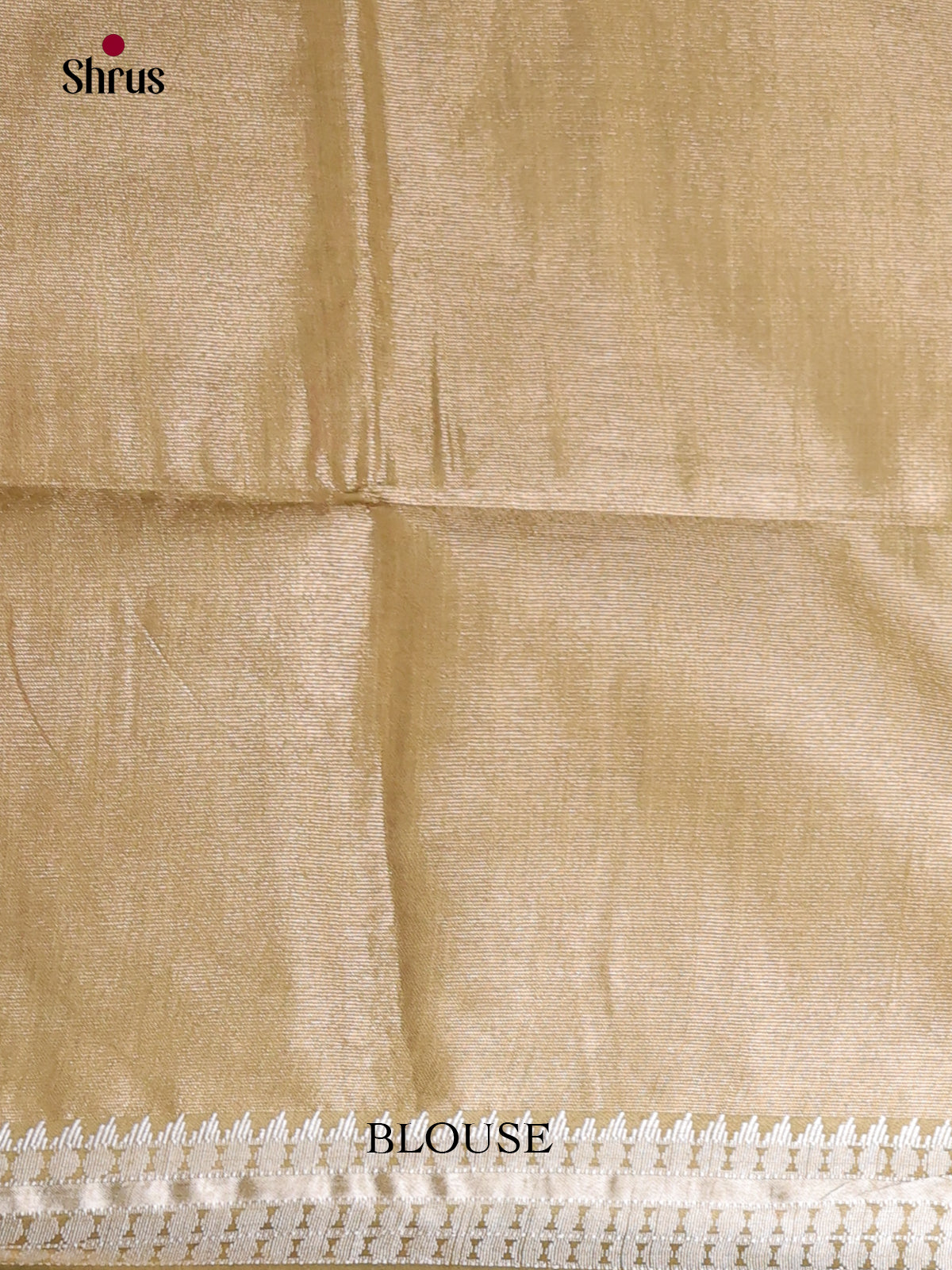 Beige - Semi Tissue Saree - Shop on Shrus.com