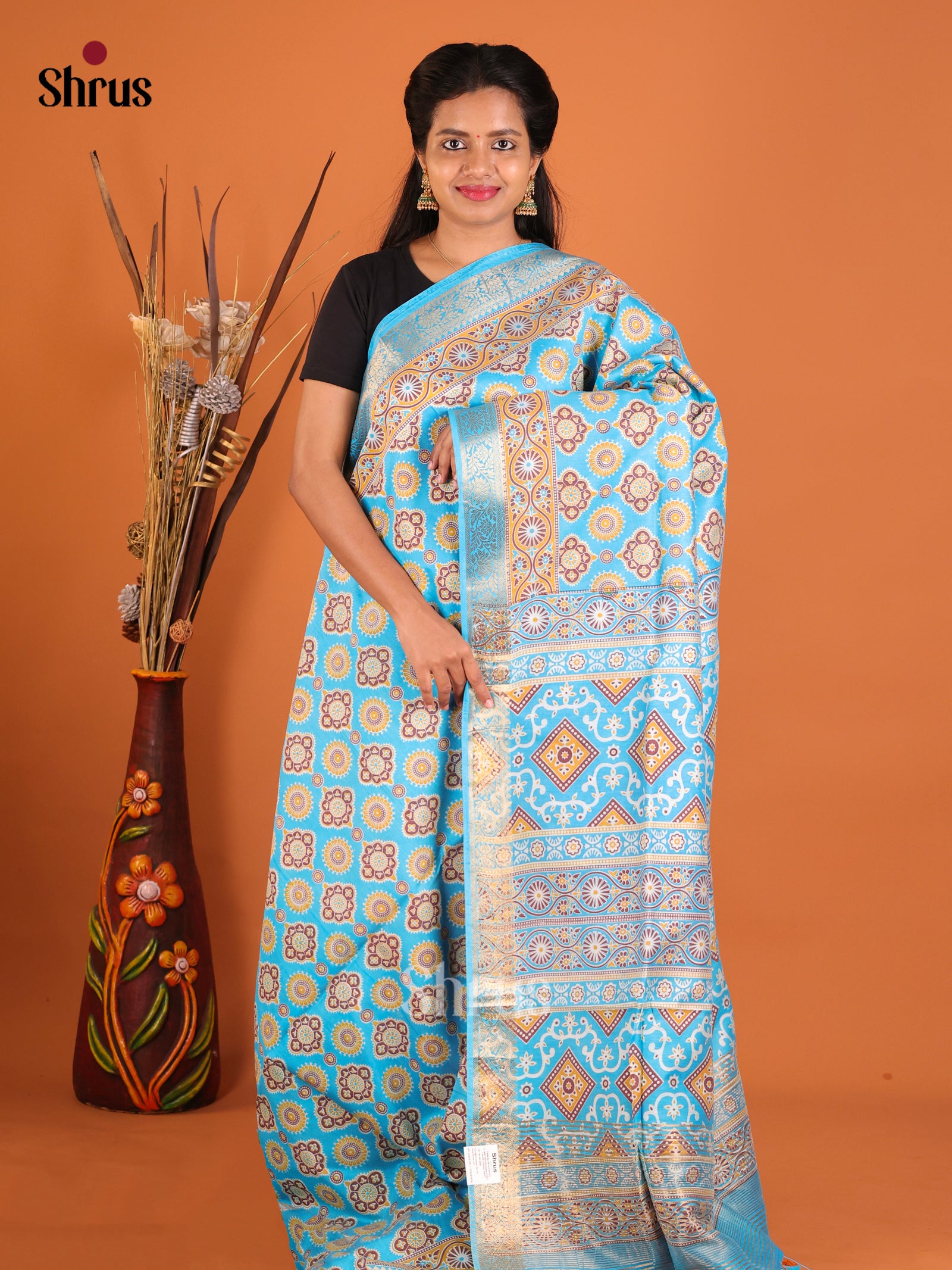 Blue & Brown- Moonga Silk Saree