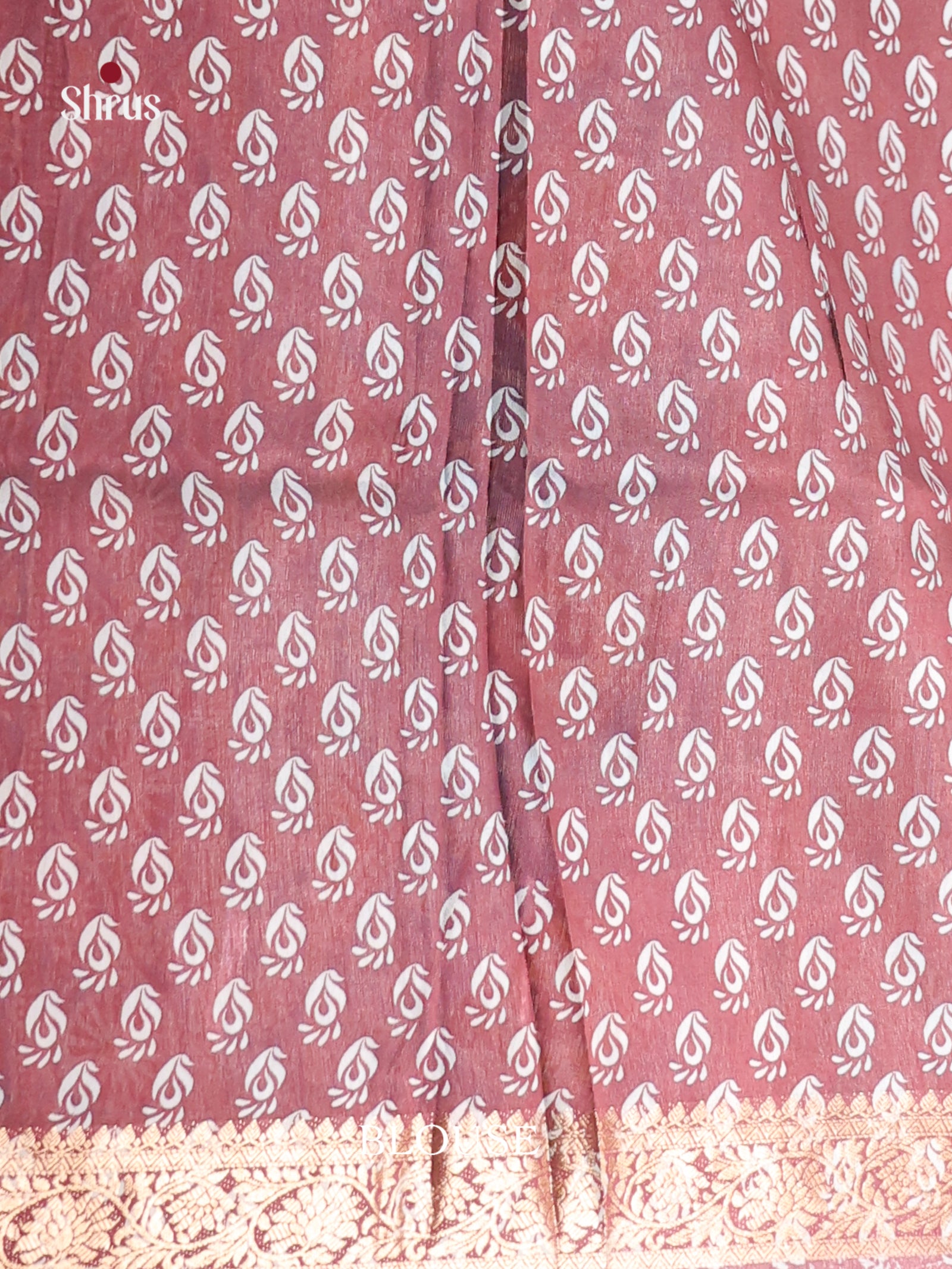 Blue & Brown- Moonga Silk Saree