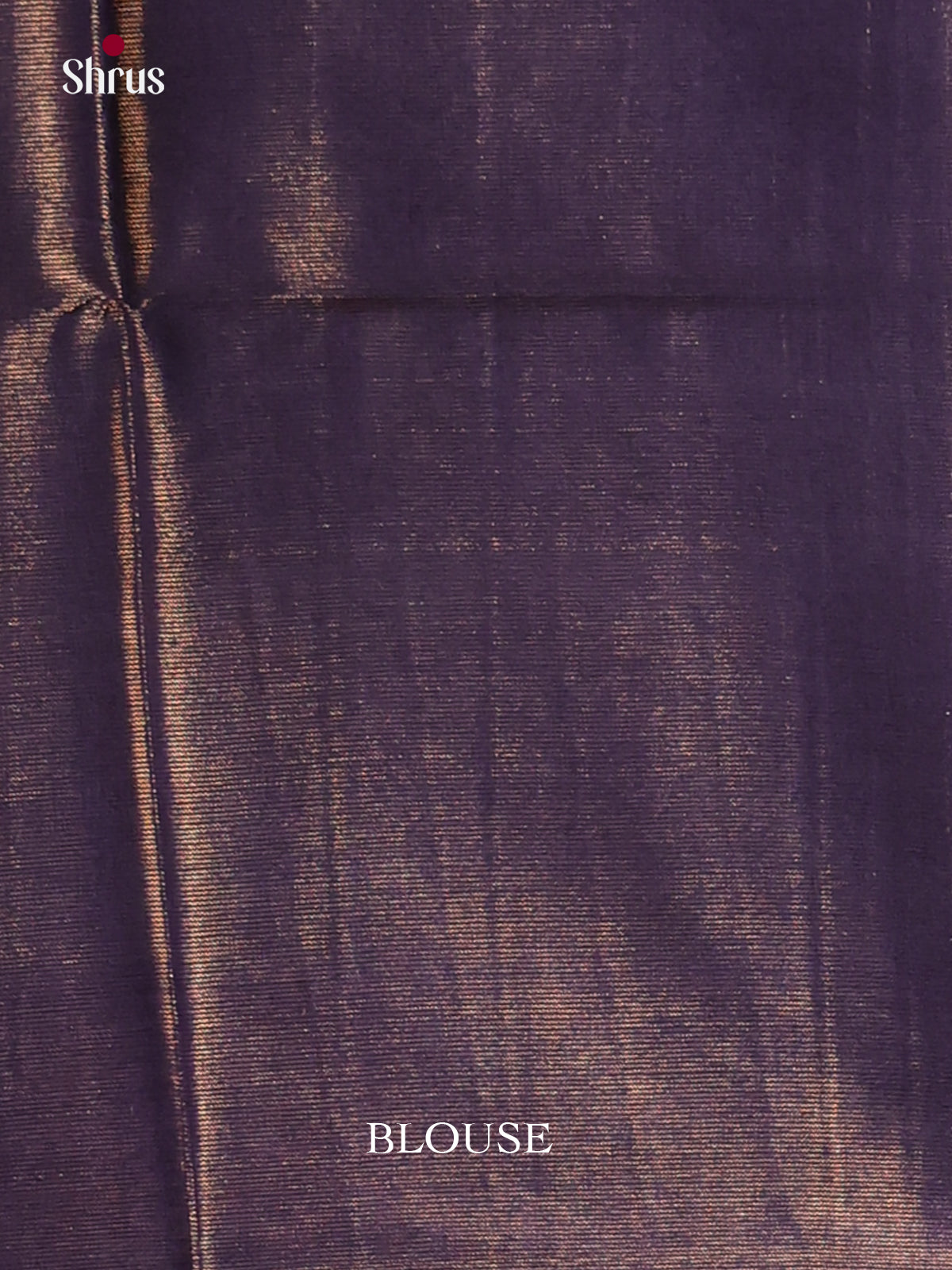 Blue - Semi Tissue Saree