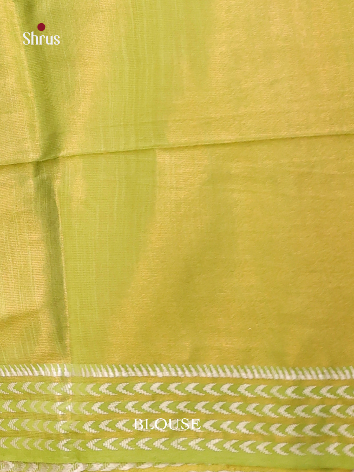 Light Green - Semi Tissue Saree