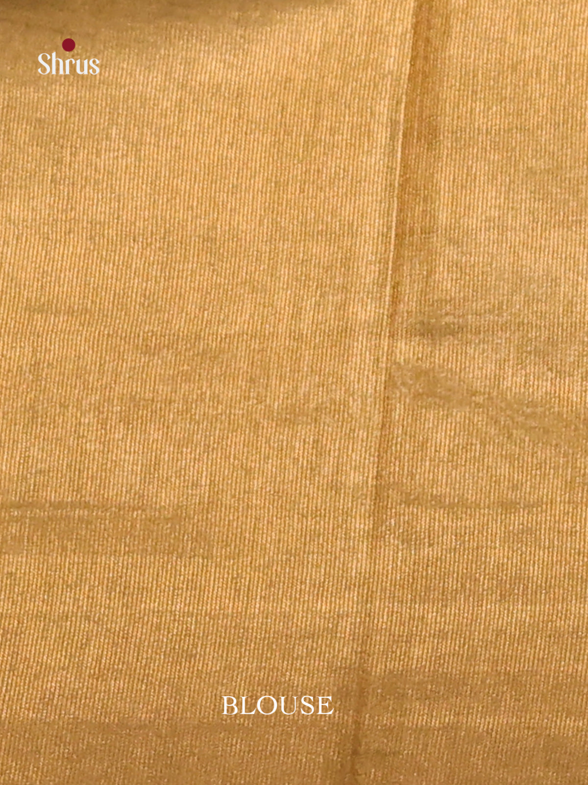 Gold - Semi Tissue Saree - Shop on Shrus.com