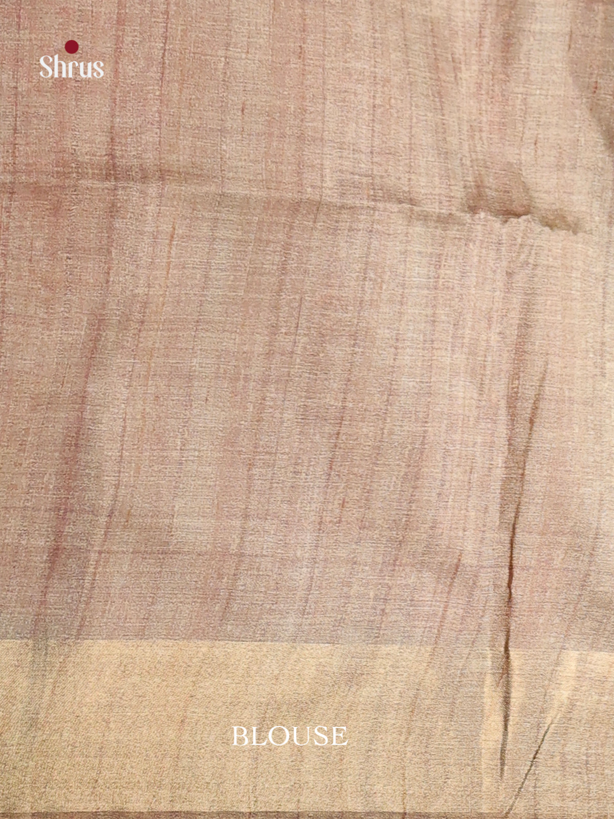 DHS28013 - Champa semitussar Saree