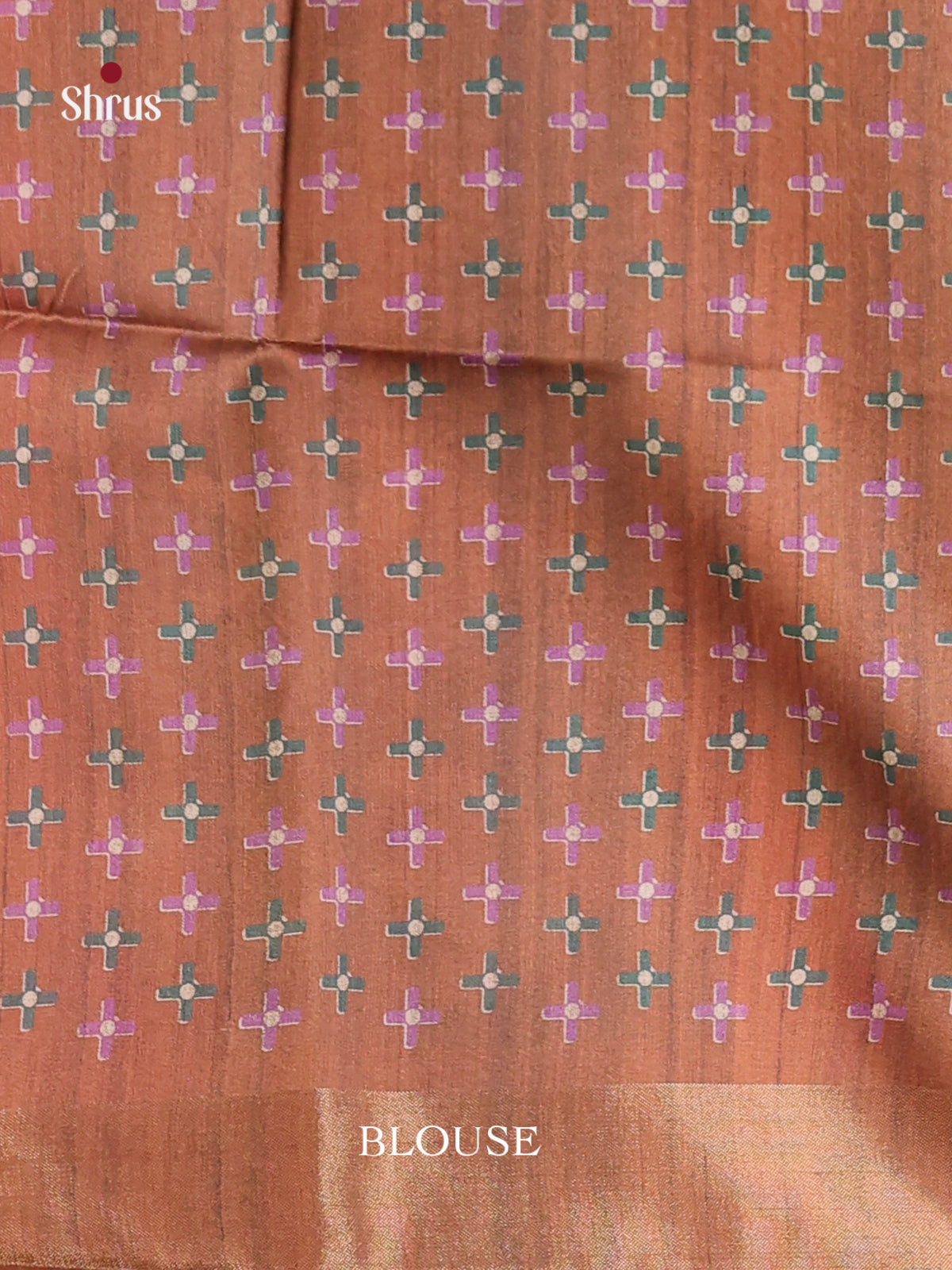 DHS28018 - Champa semitussar Saree