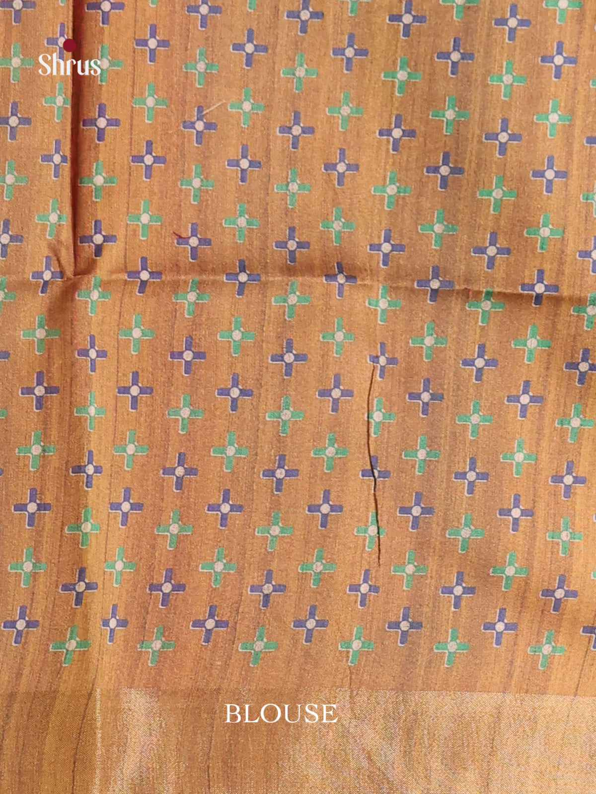 DHS28019 - Champa semitussar Saree