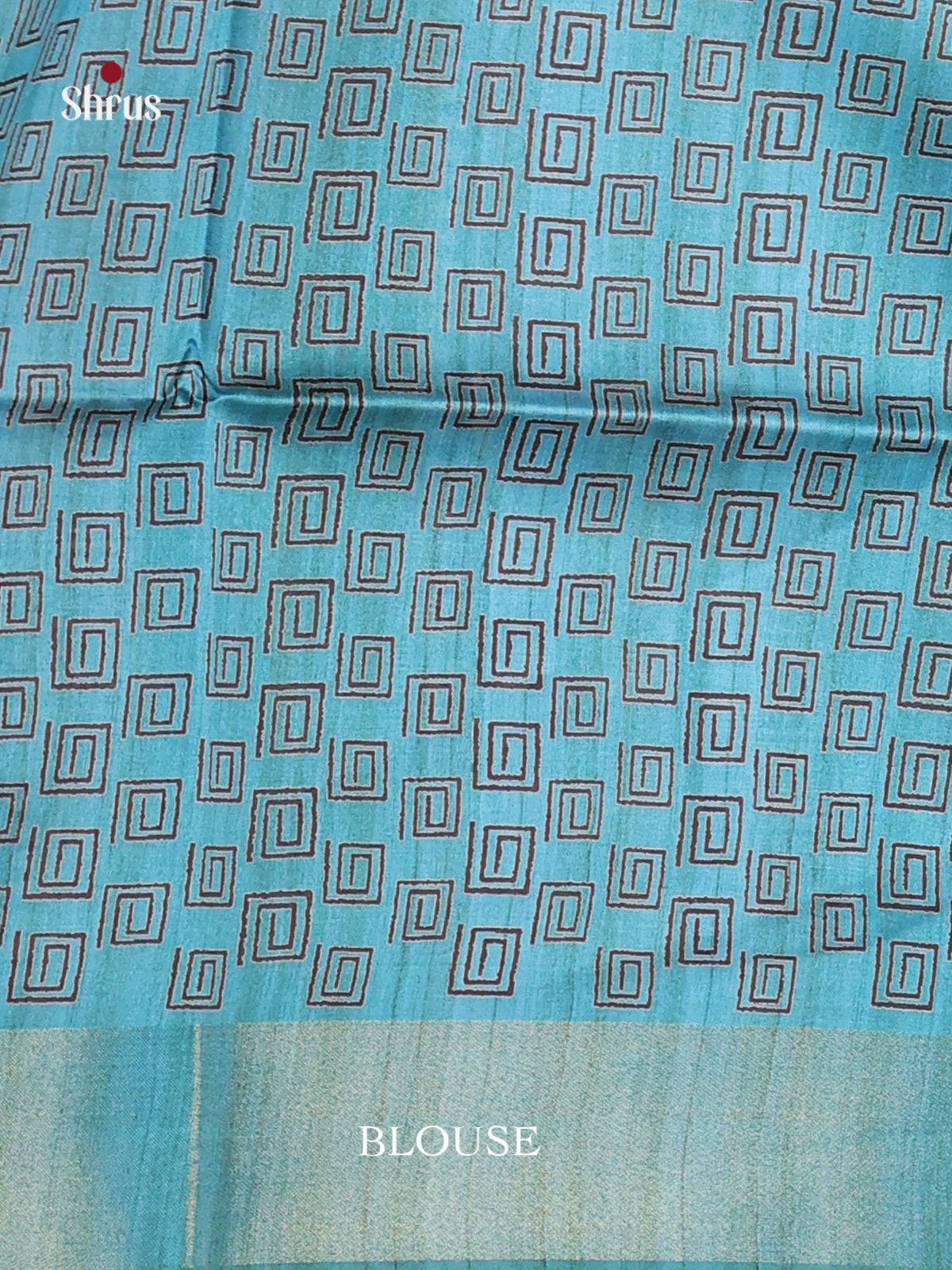 DHS28024 - Champa semitussar Saree