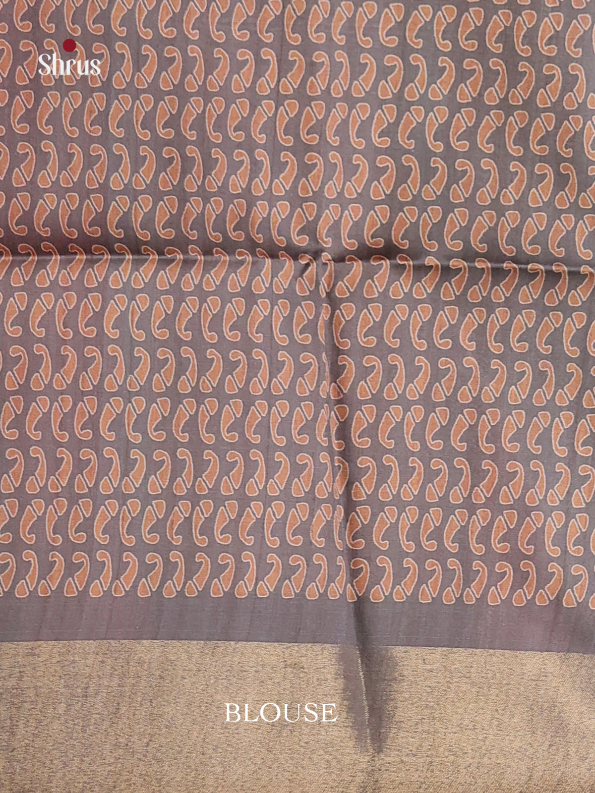 DHS28036 - Champa semitussar Saree