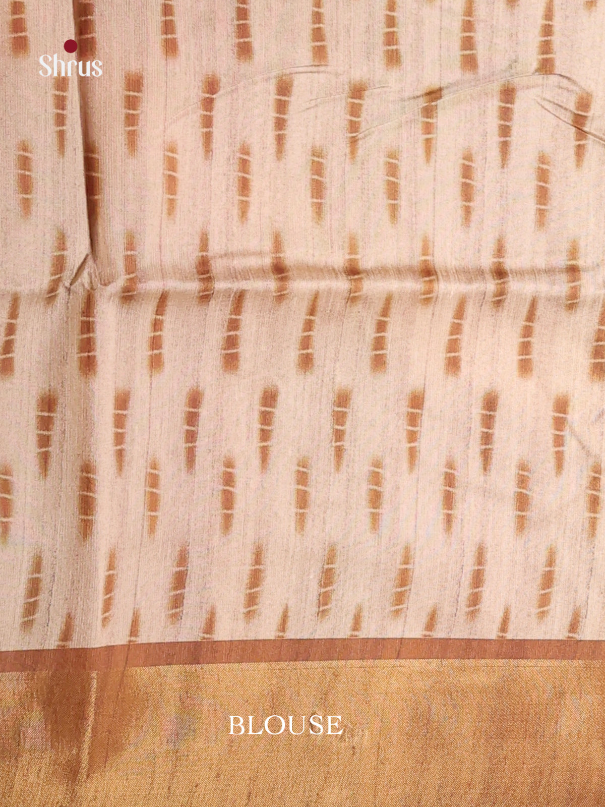 DHS28042 - Champa semitussar Saree