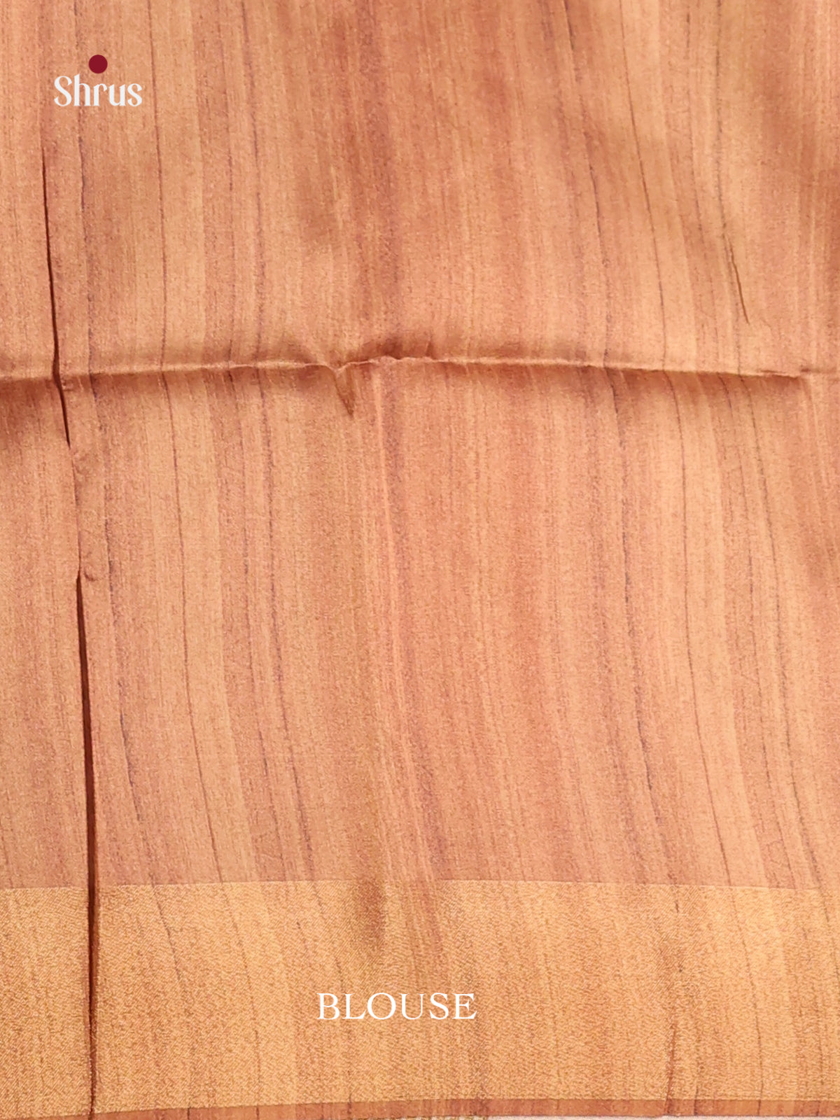 DHS28050 - Champa semitussar Saree