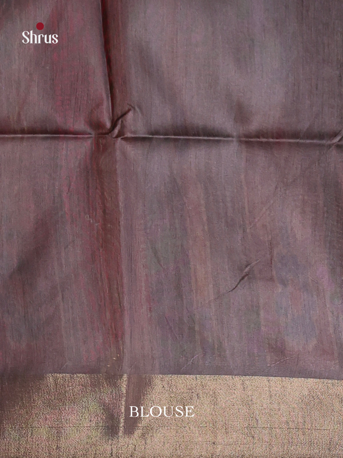 DHS28054 - Champa semitussar Saree