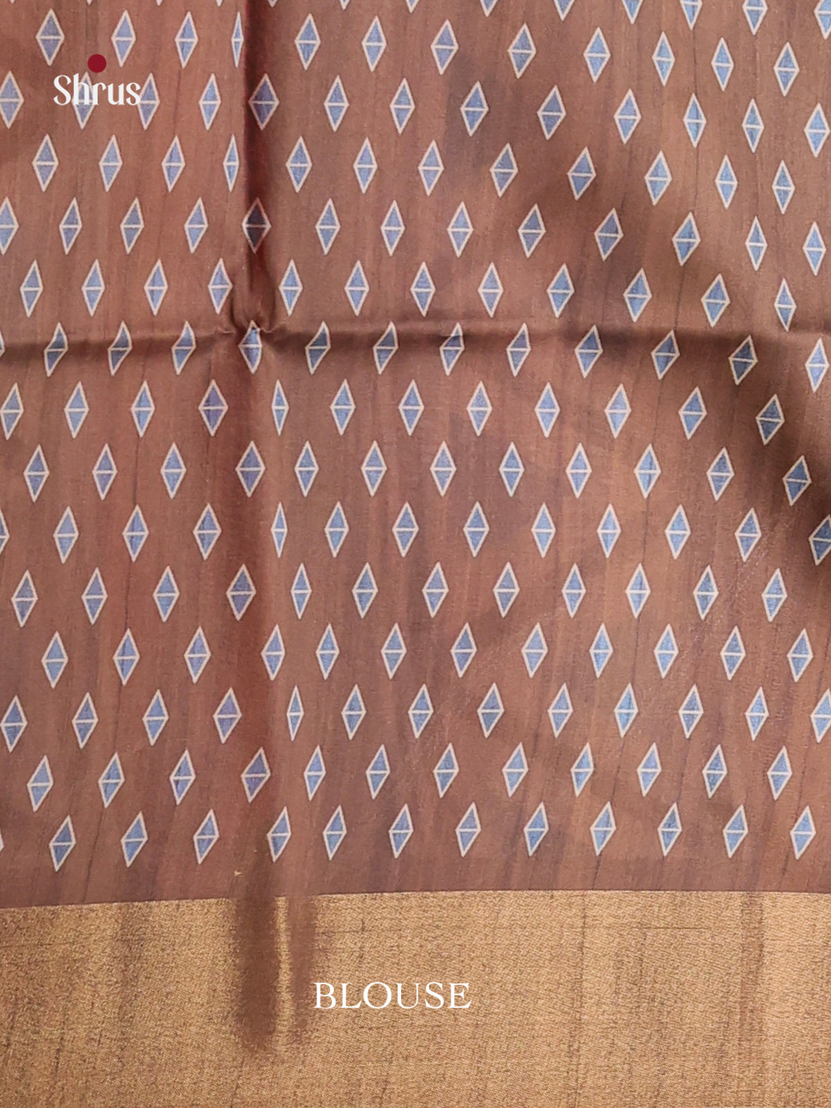 DHS28063 - Champa semitussar Saree