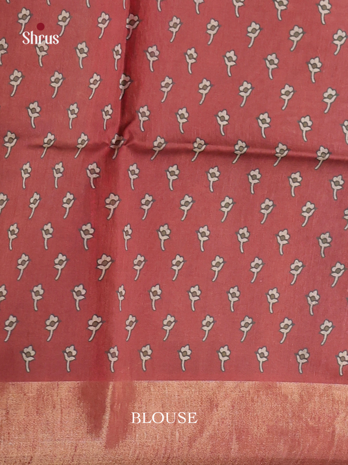 DHS28099 - Champa semitussar Saree