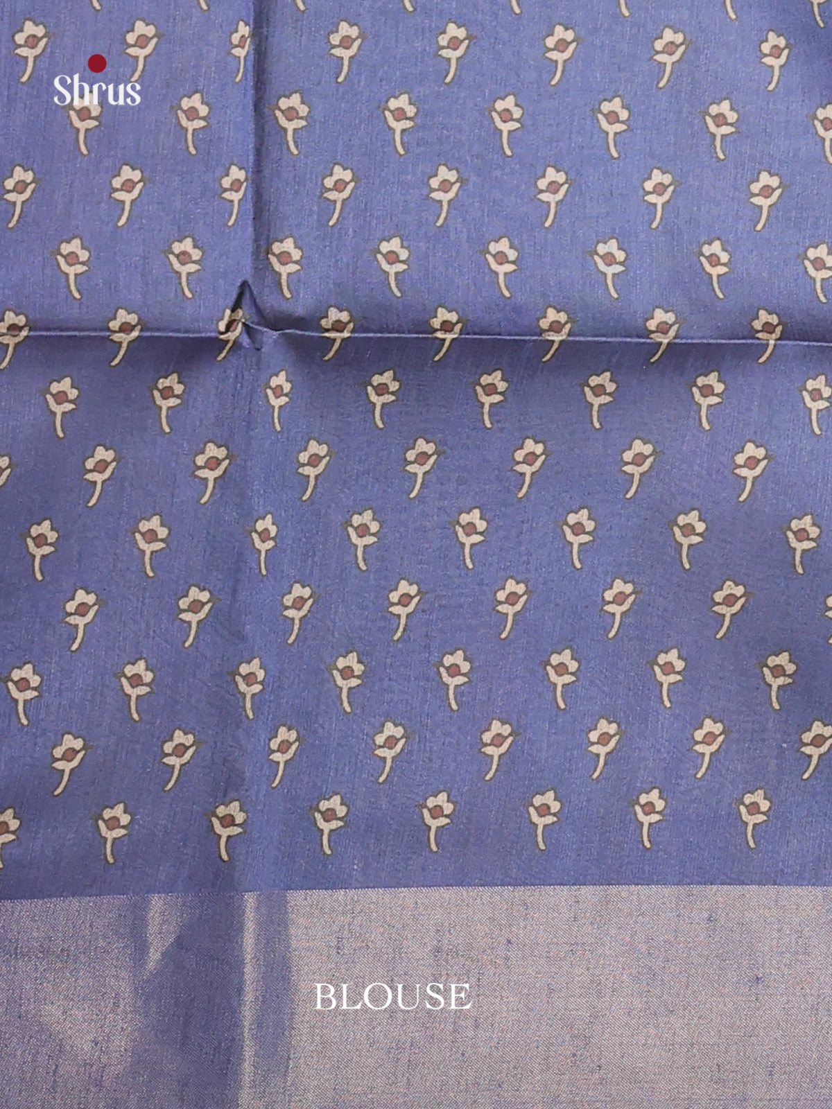 DHS28101 - Champa semitussar Saree