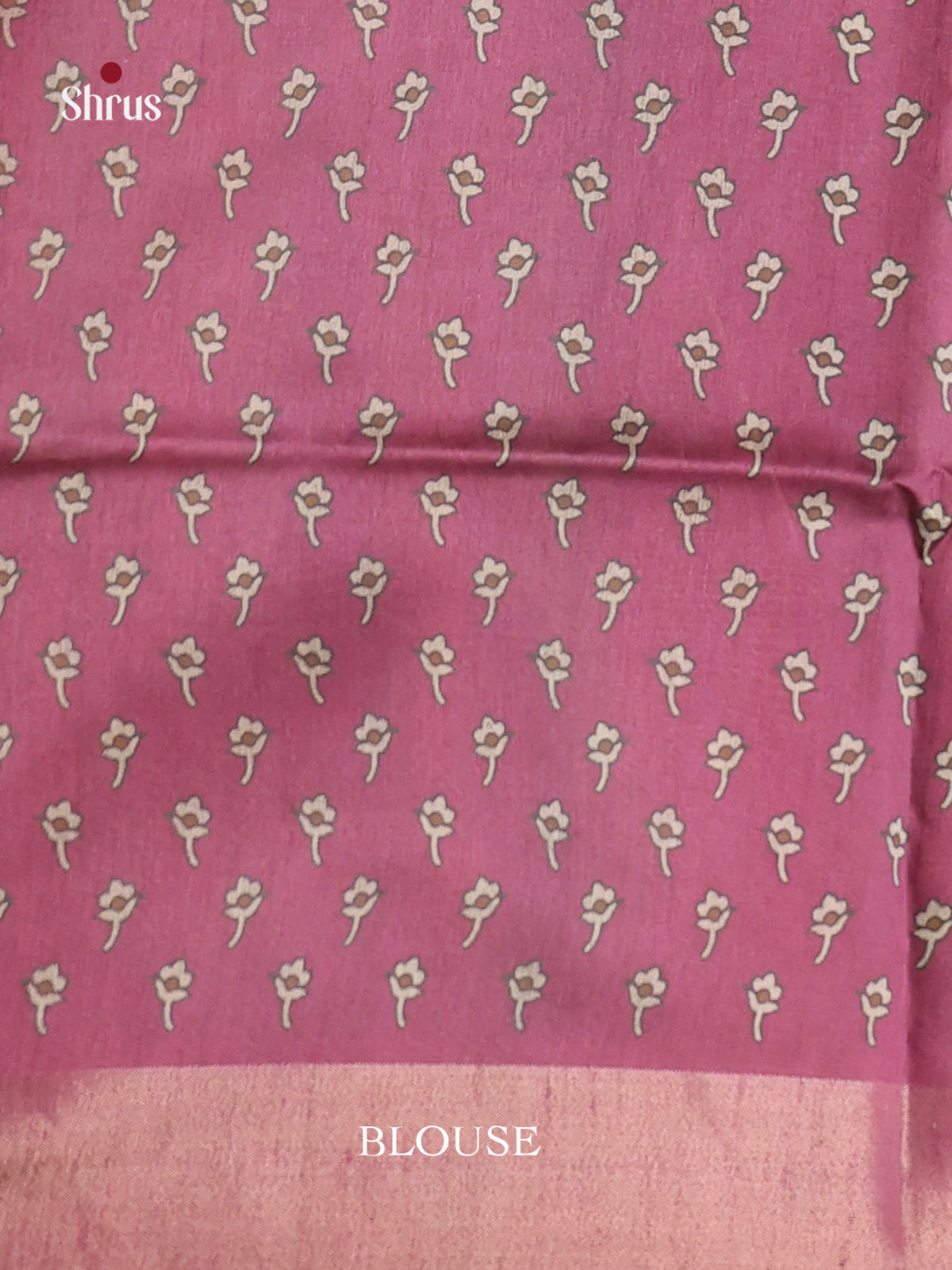 DHS28102 - Champa semitussar Saree