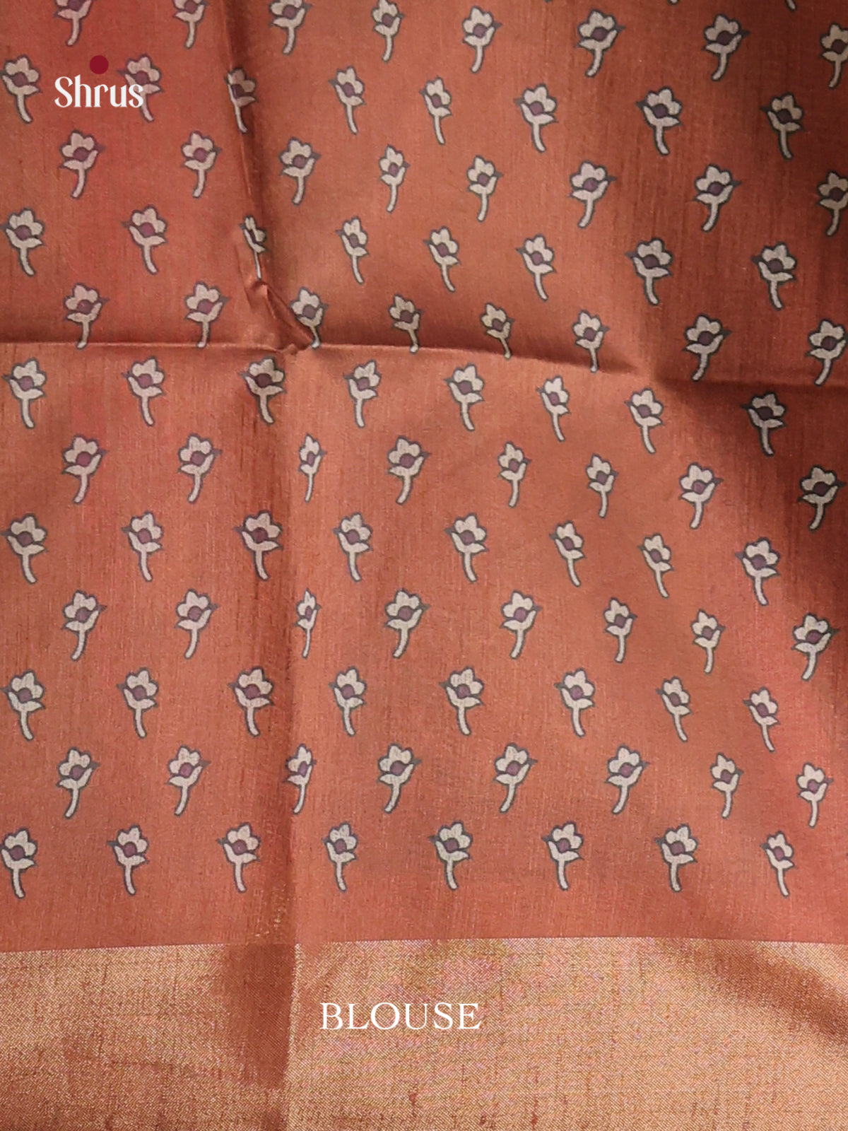 DHS28104 - Champa semitussar Saree - Shop on Shrus.com