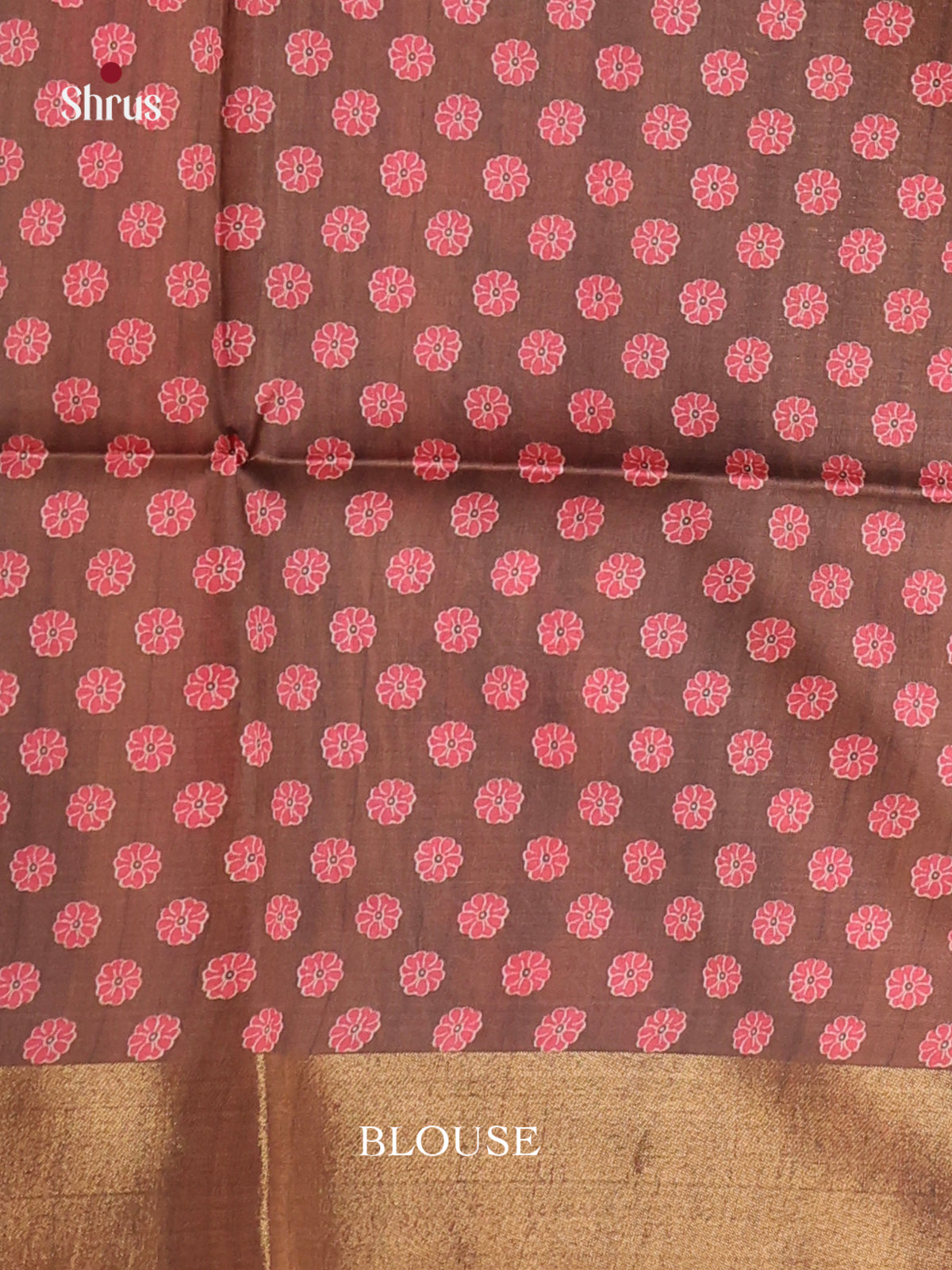 DHS28109 - Champa semitussar Saree