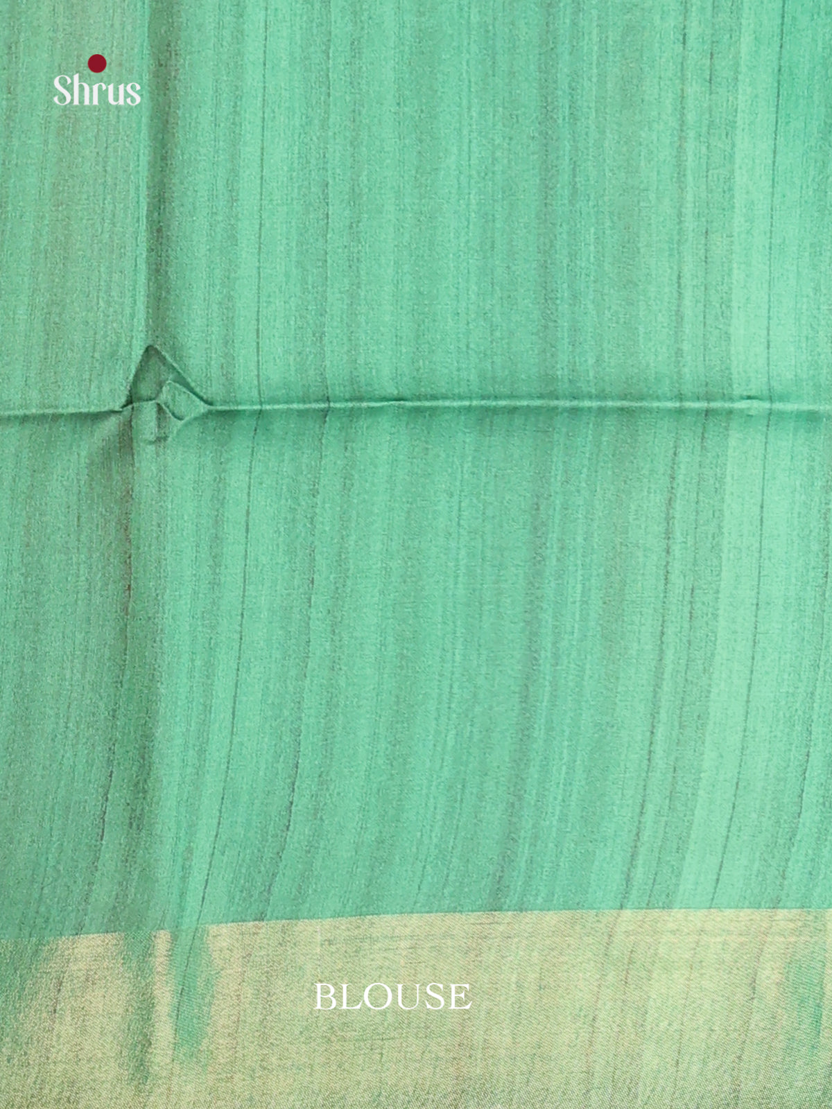 DHS28111 - Champa semitussar Saree