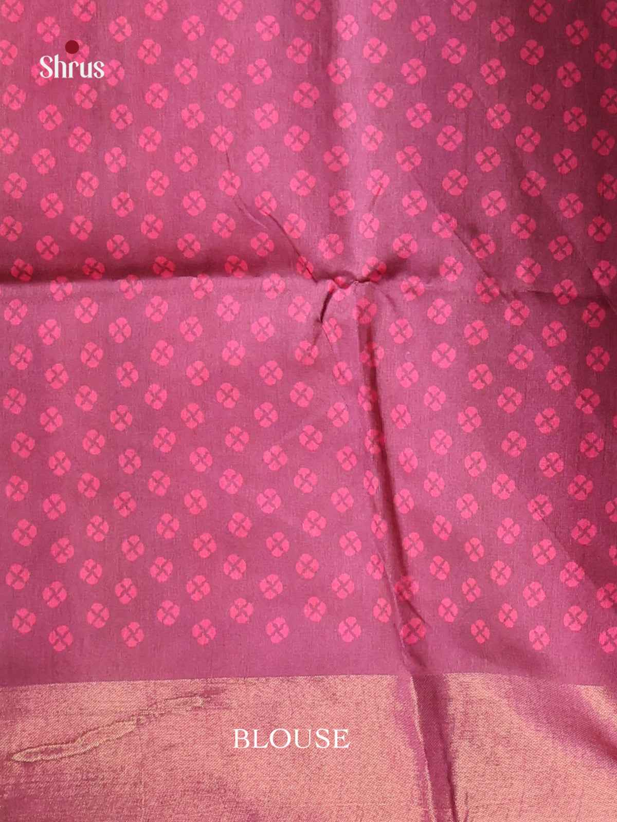 DHS28123 - Champa semitussar Saree