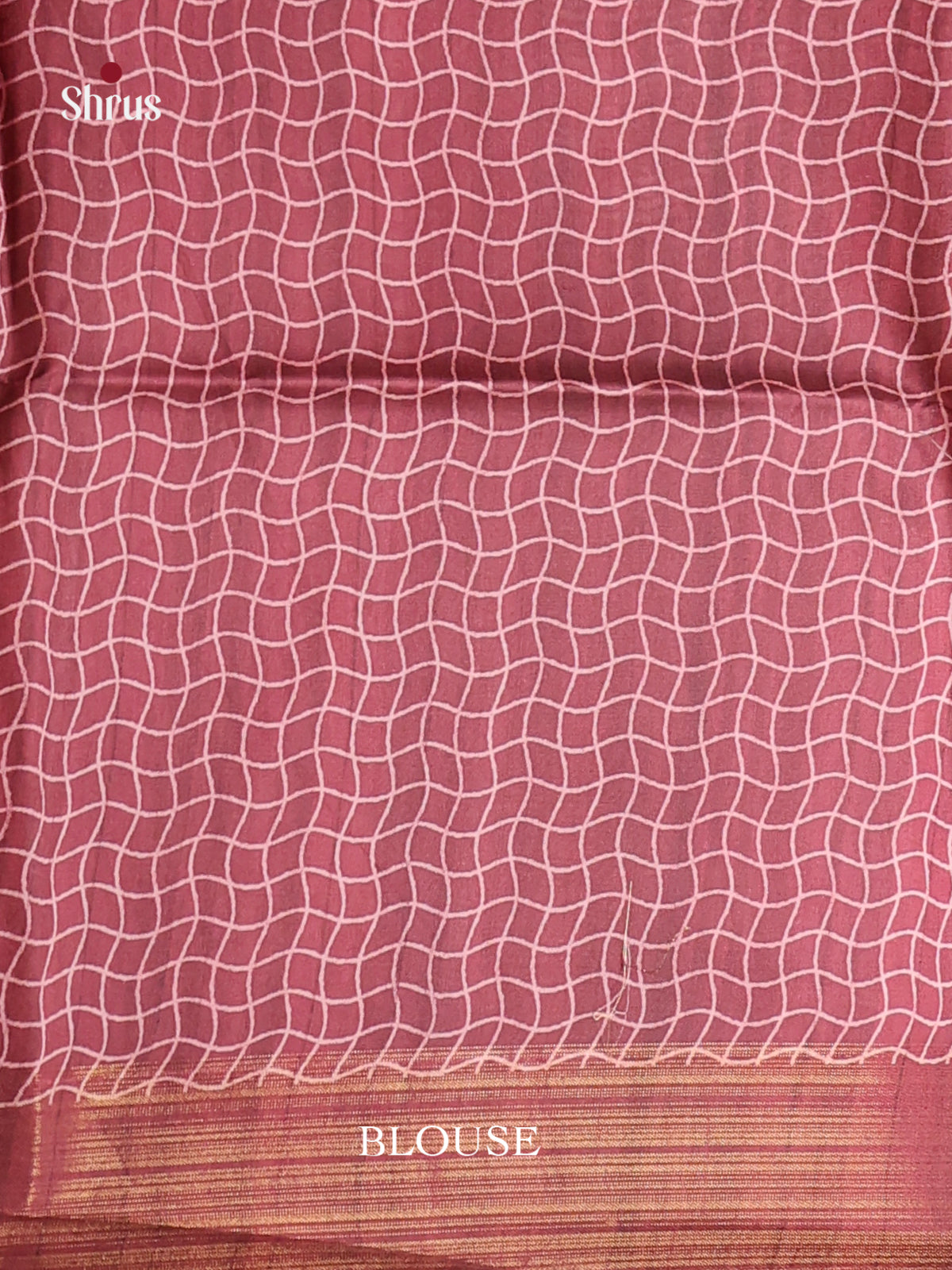 DHS28166 - Champa semitussar Saree