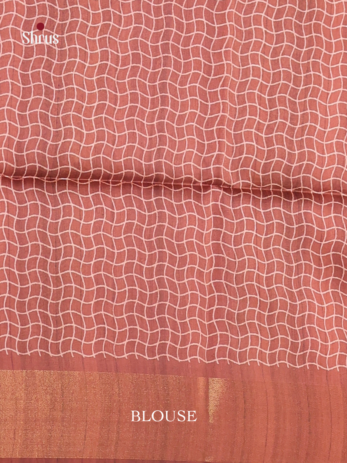 DHS28170 - Champa semitussar Saree