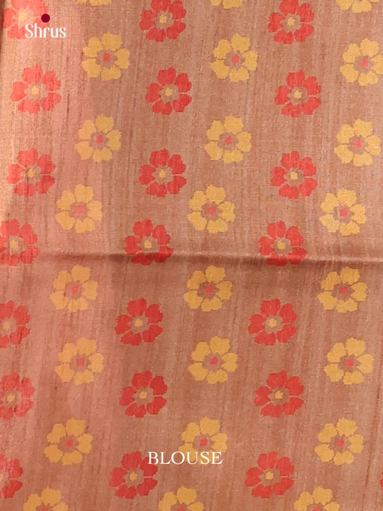 Brown - Semi Tussar Saree