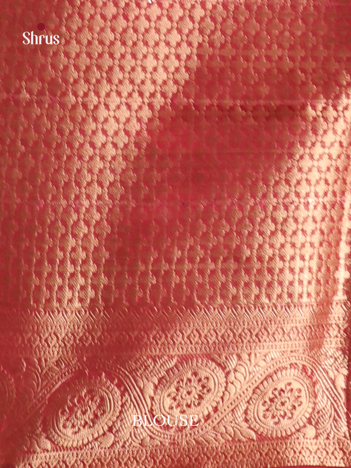 pink red box designed North Silk Cotton Saree 1