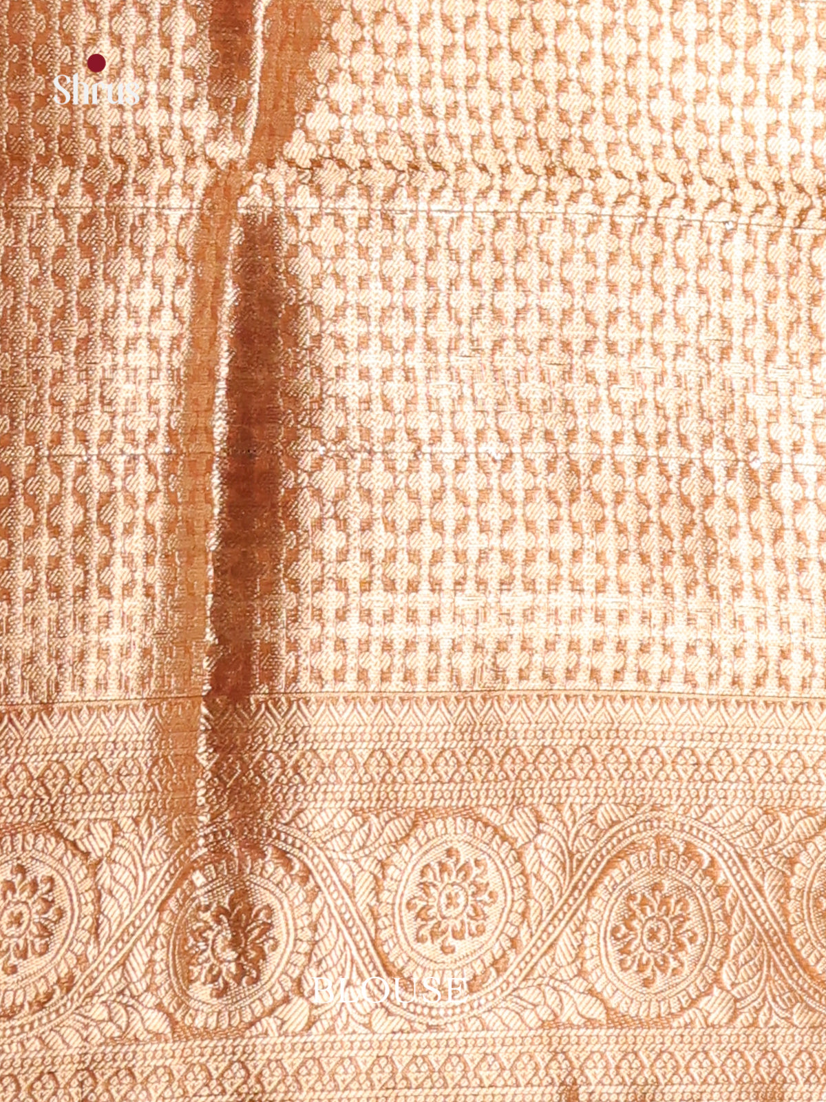 multi colodr box designed zari North Silk Cotton Saree 1