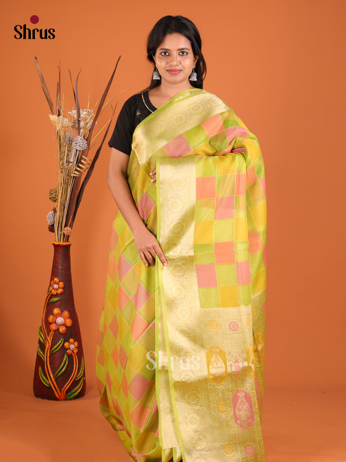 bright colors box designed zari North Silk Cotton Saree