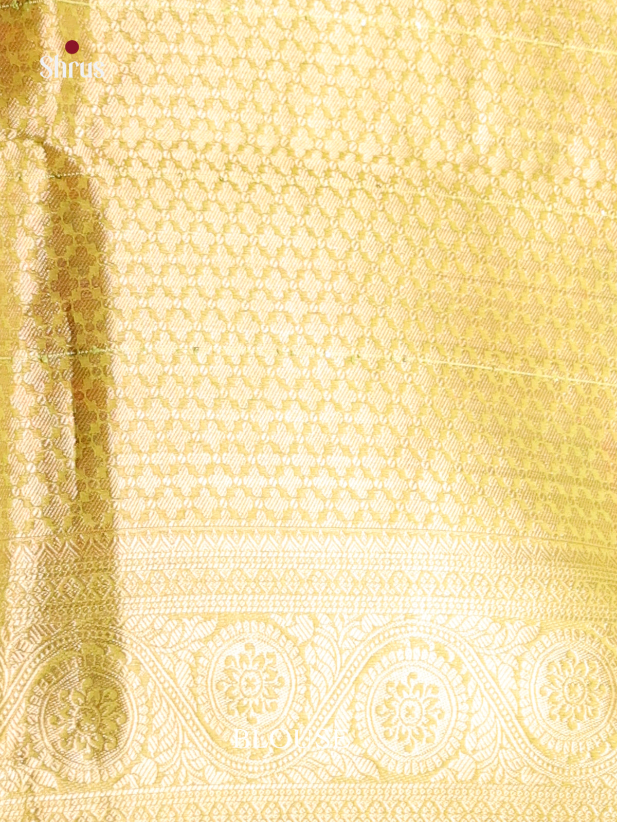 bright colors box designed zari North Silk Cotton Saree 1