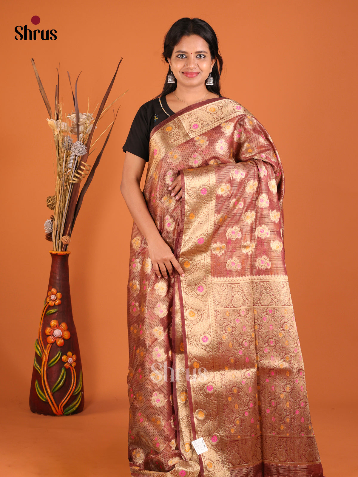 bright brown gold zari North Silk Cotton Saree