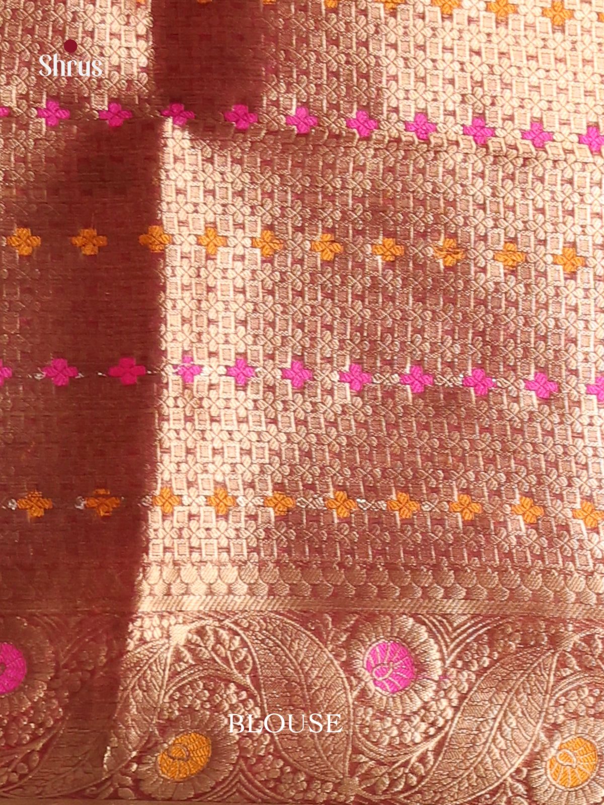 bright brown gold zari North Silk Cotton Saree 1