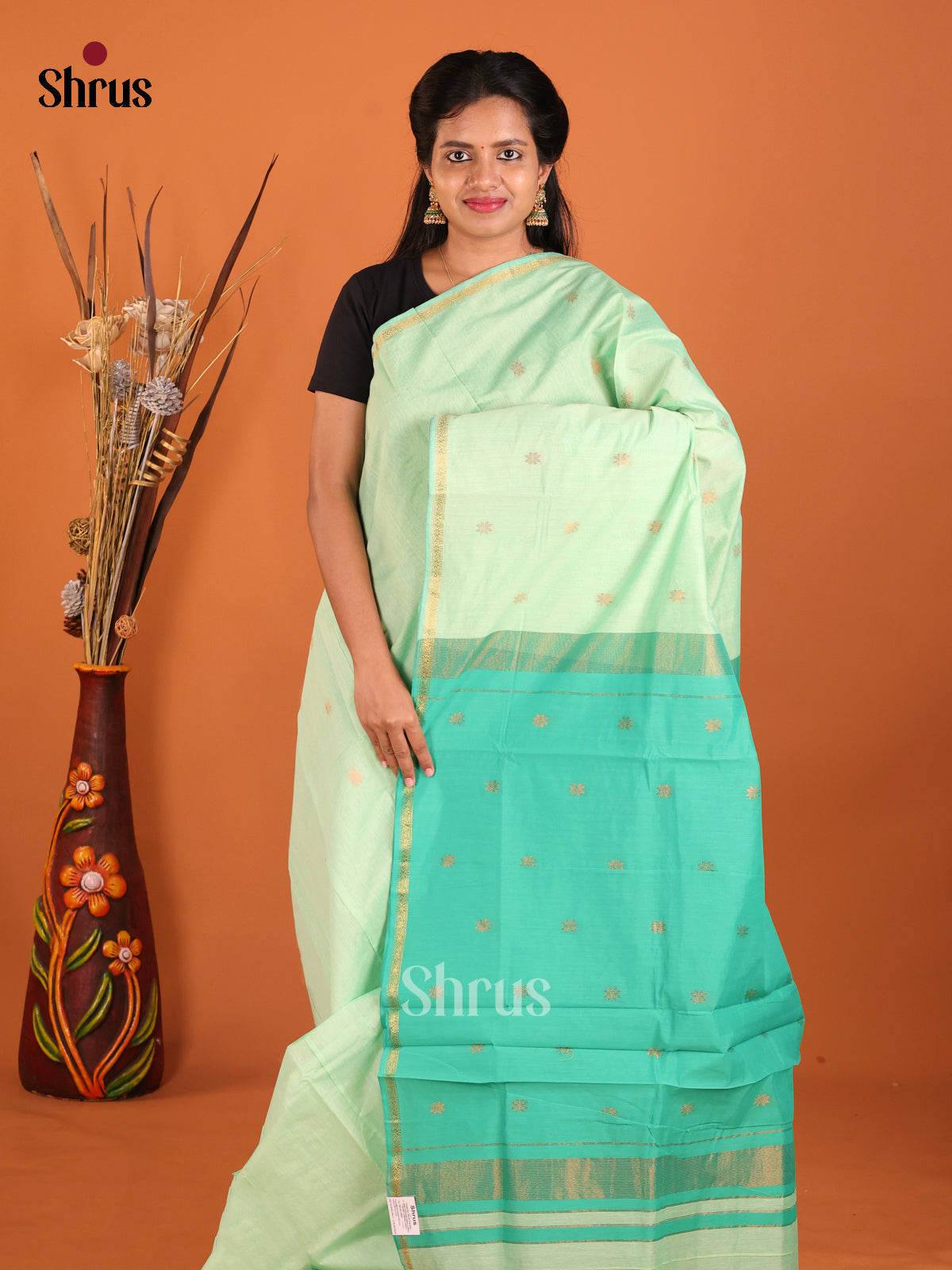 Pastel Green & Green - Semi Maheshwari Saree