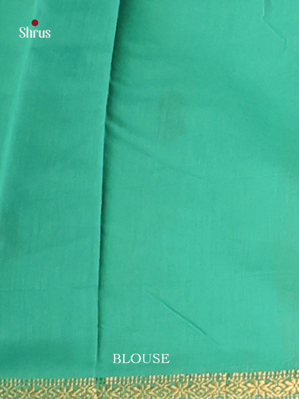 Pastel Green & Green - Semi Maheshwari Saree