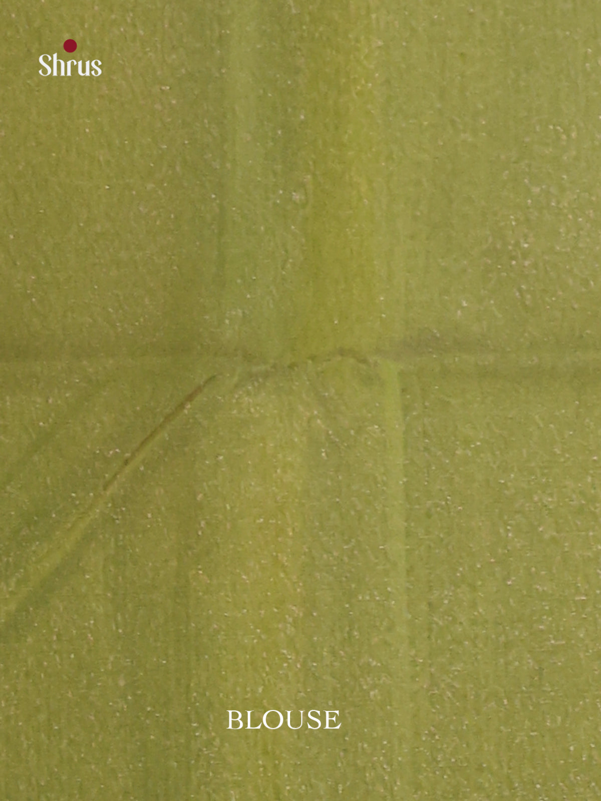 Dusty Brown & Green - Semi Silkcotton Saree - Shop on Shrus.com
