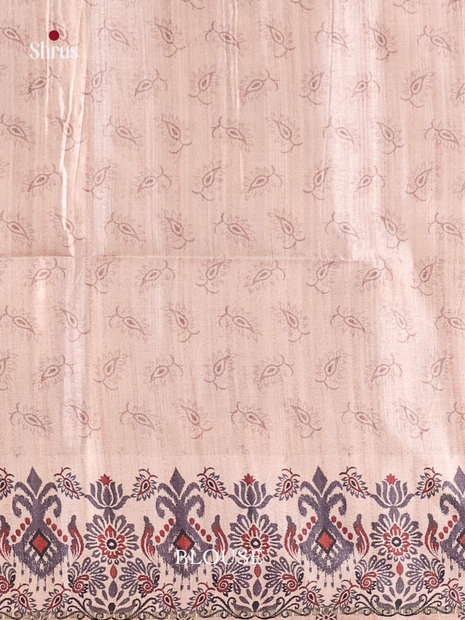 Grey & Cream - Moonga Silk Saree