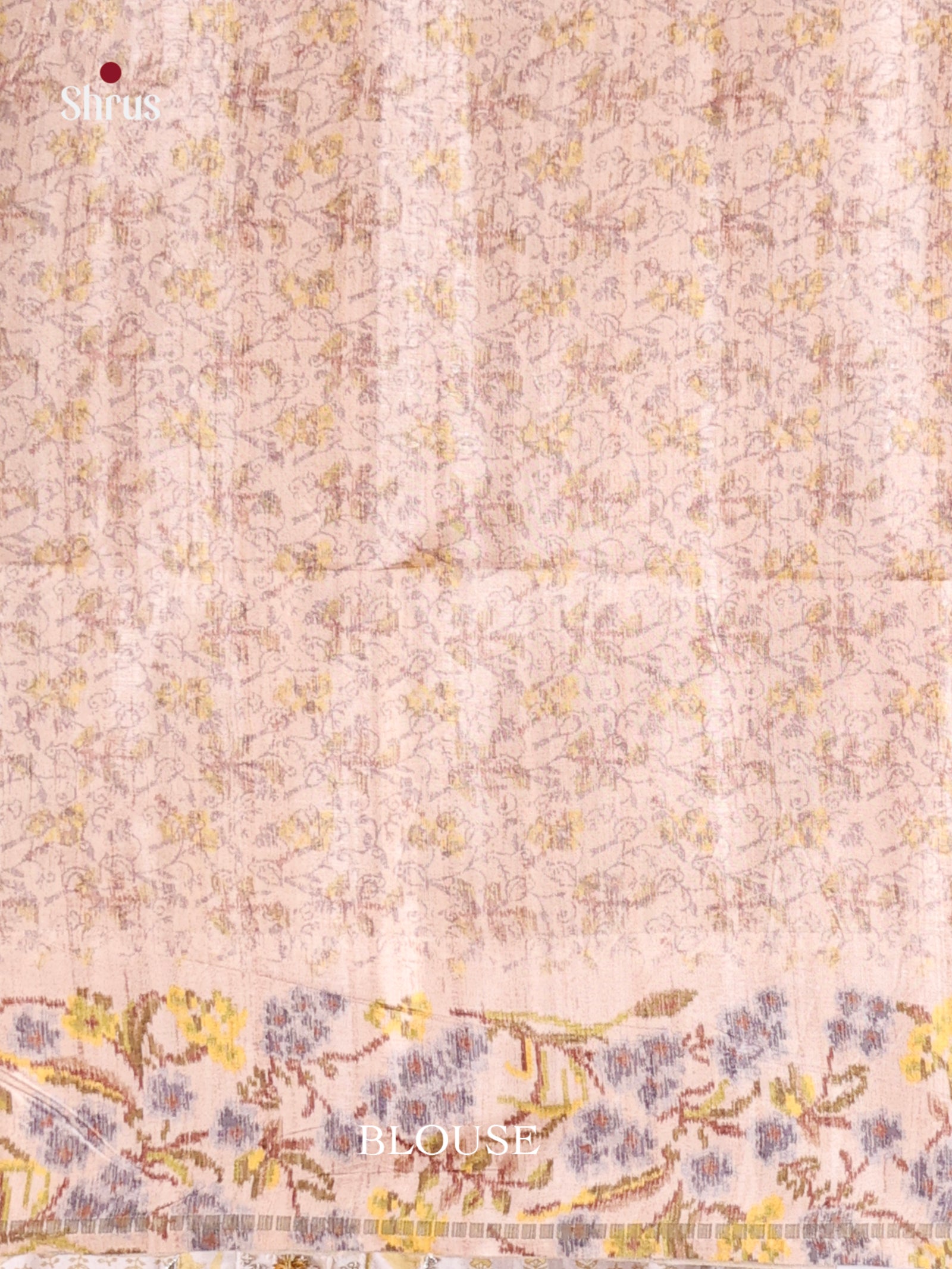 Grey & Cream - Moonga Silk Saree