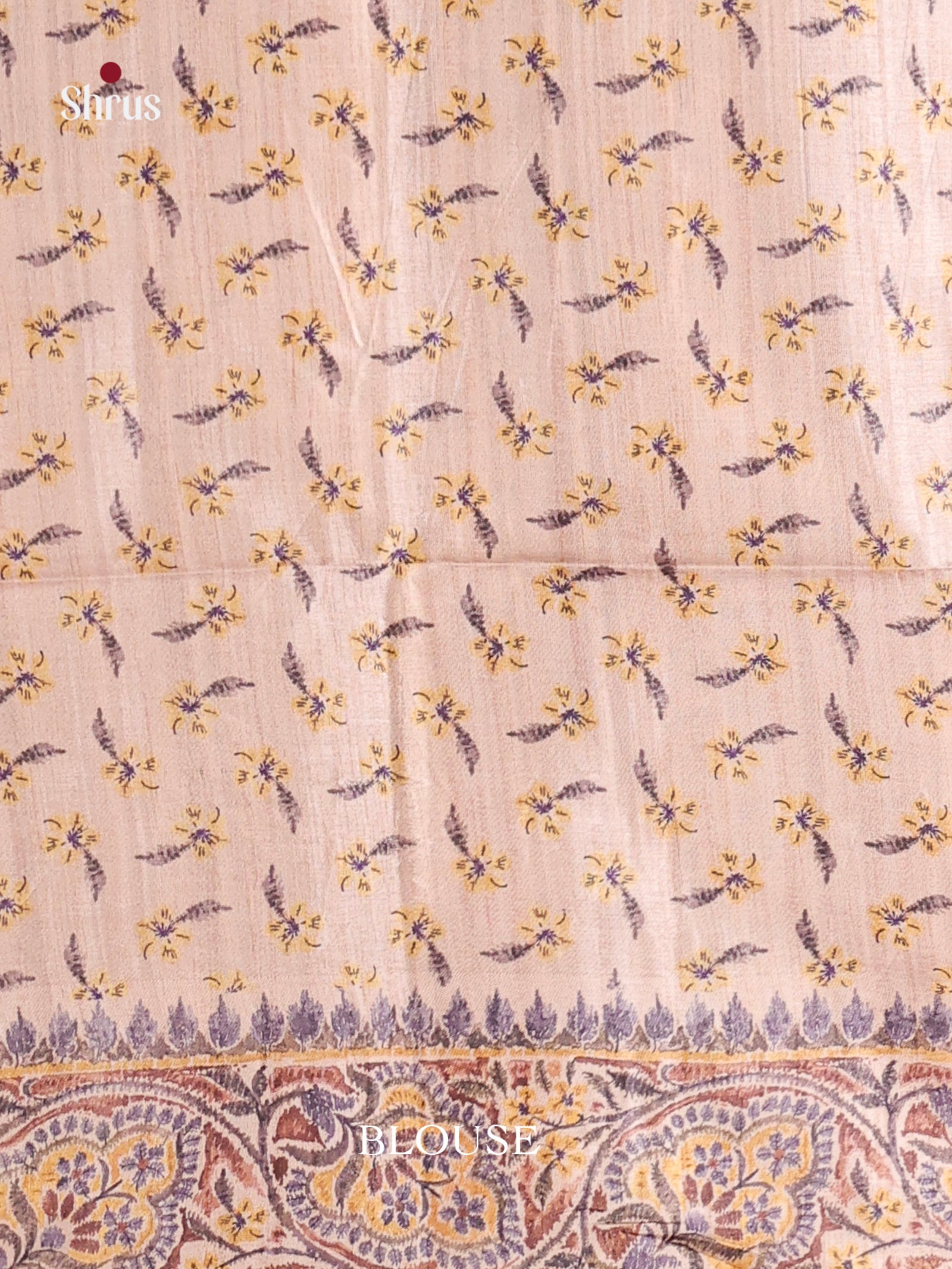 Grey & Cream- Moonga Silk Saree