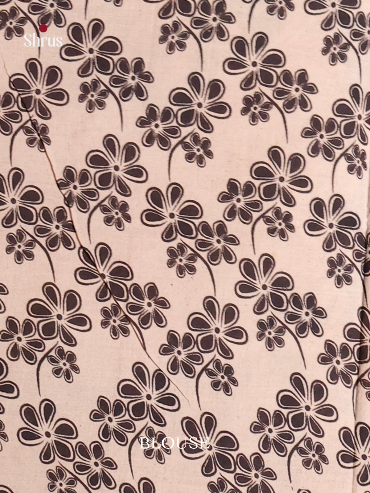 Black & Cream - kalamkari-cotton Saree