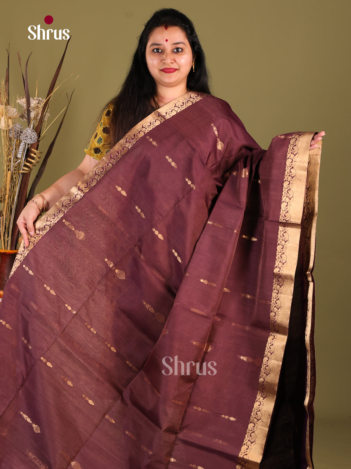 Brown & Violet - Silk Cotton Saree