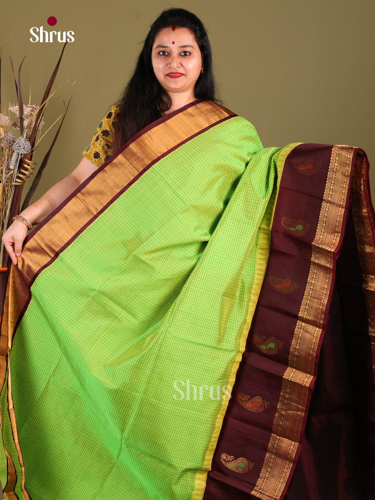 Chic Light Green Silk Cotton Saree With Zari Checks & Brown Korvai Zari Border