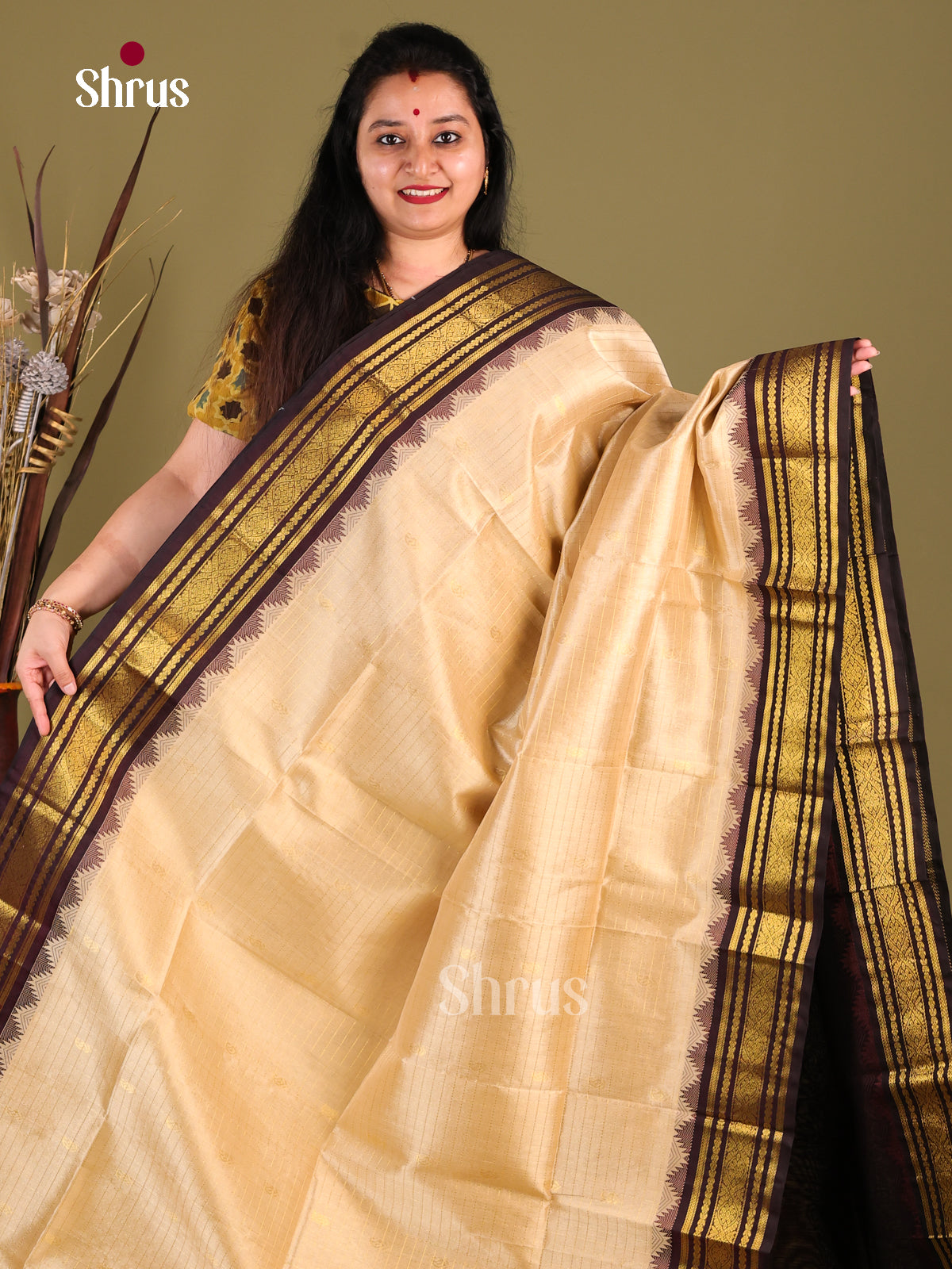 Cream & Brown Silk Cotton Korvai-kattams Saree